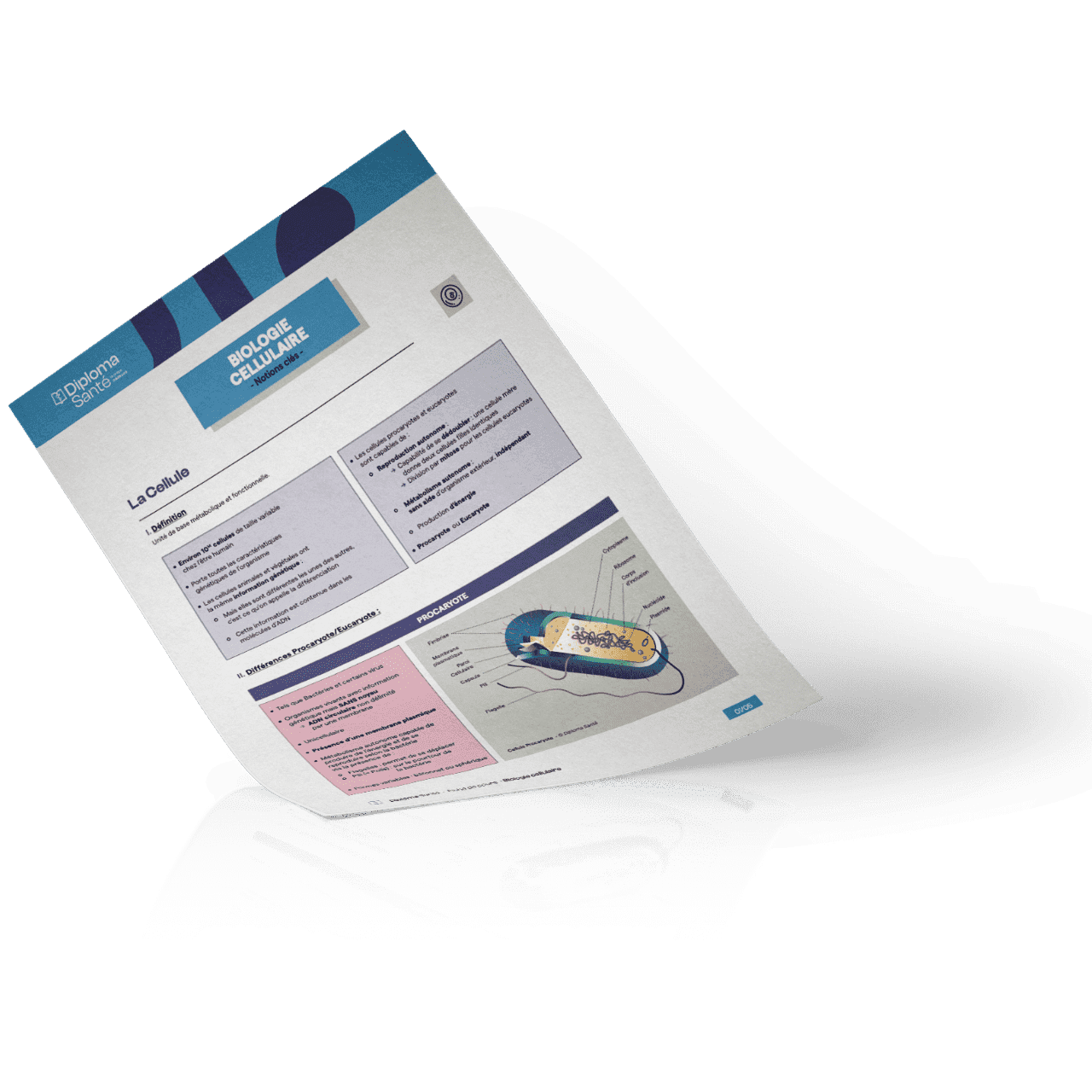 Fiche de révision Diploma Santé — Biologie cellulaire